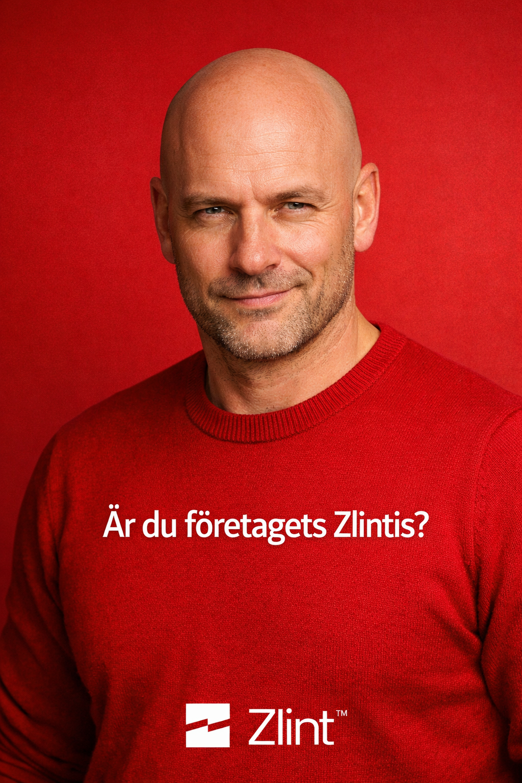 är-du-företagets-zlintis